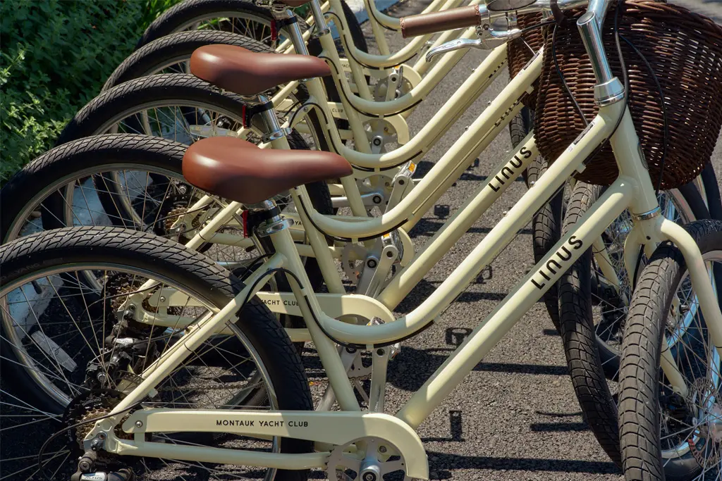 bicycles lined up