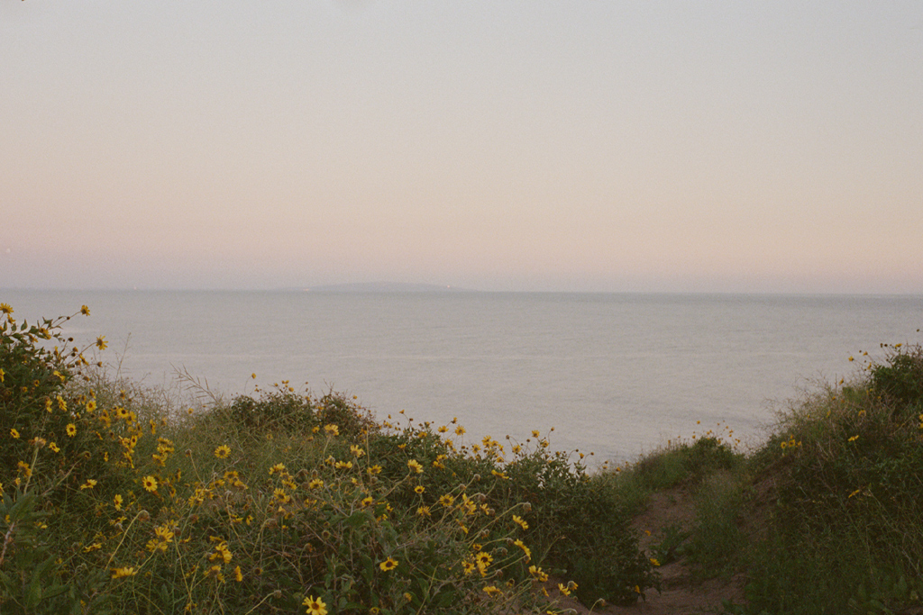 trail overlooking ocean